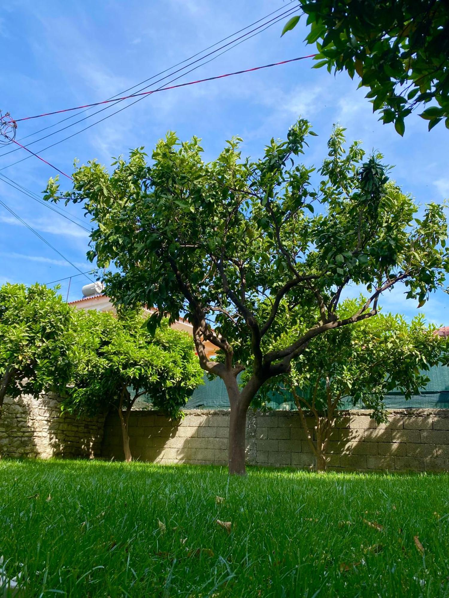 Villa בראט מראה חיצוני תמונה