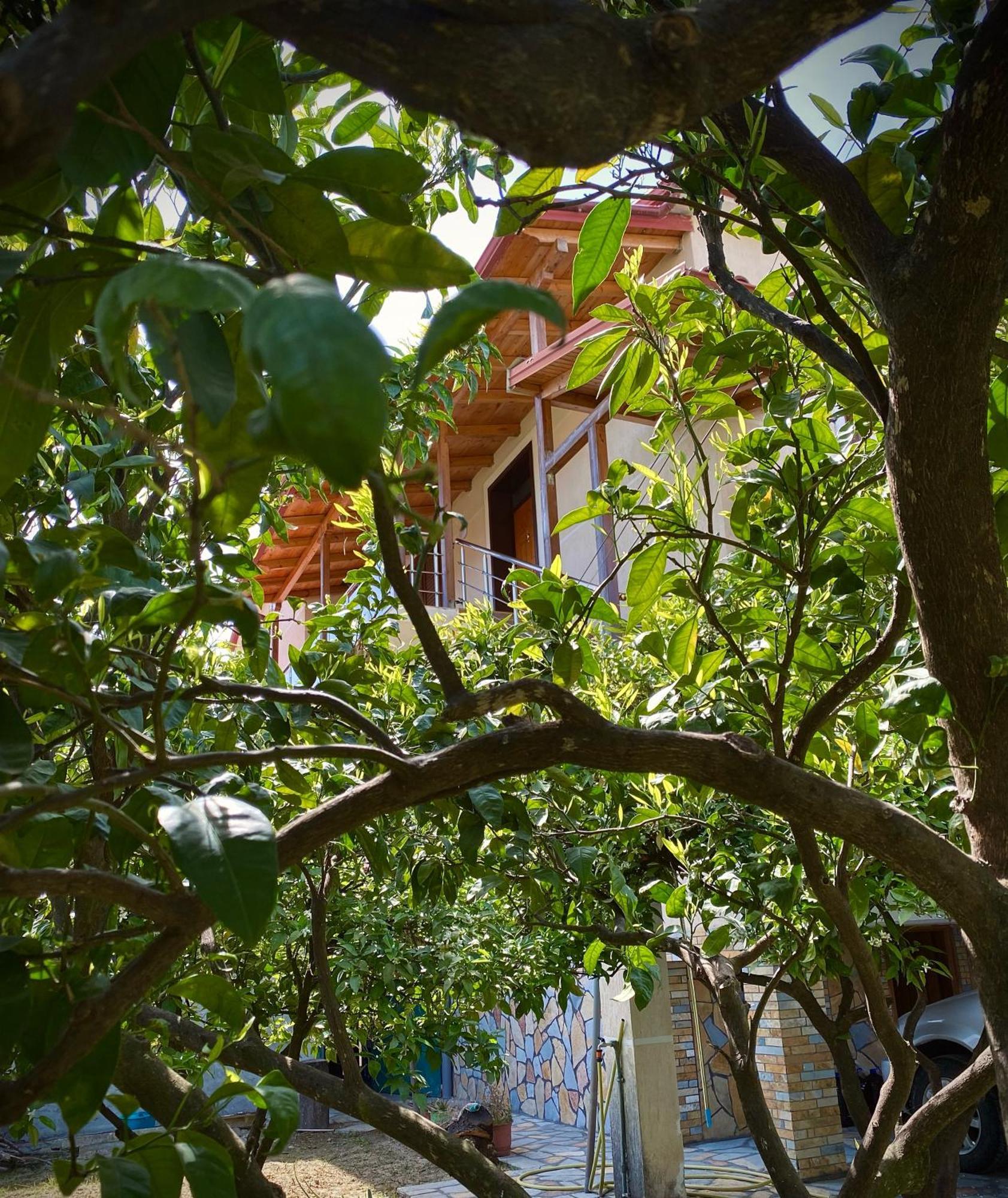 Villa בראט מראה חיצוני תמונה